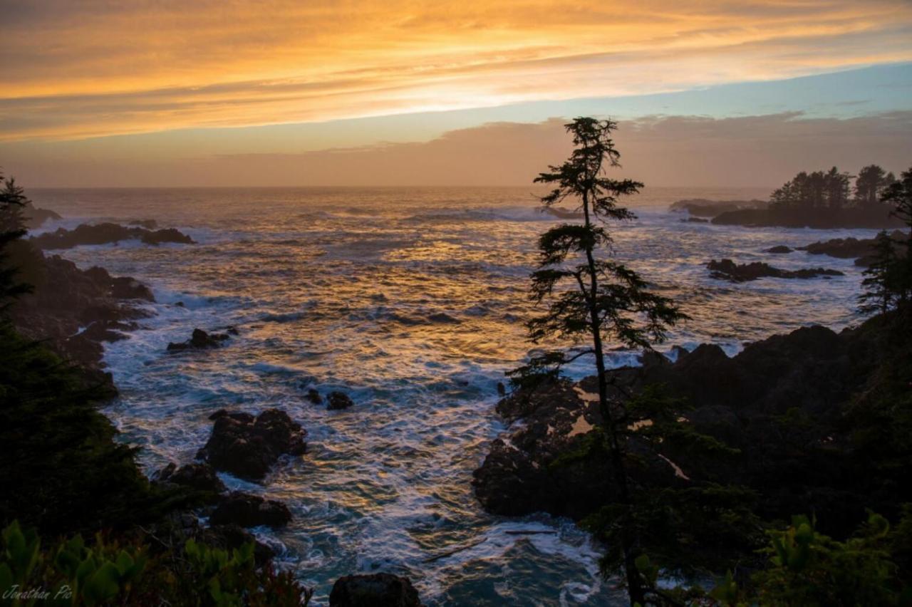 Waterfront Timber Frame Cottage! Ucluelet Buitenkant foto